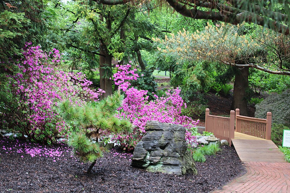 Part of the Japanese garden at Hershey Gardens