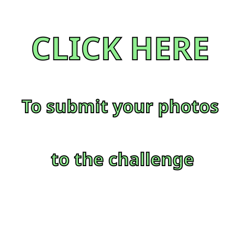 To submit your photos please click here